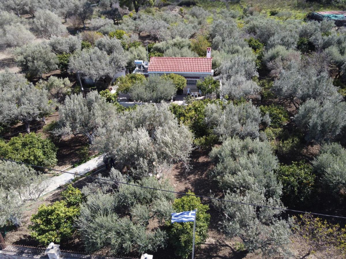 Villa Kavalino Kolymbia Exteriör bild