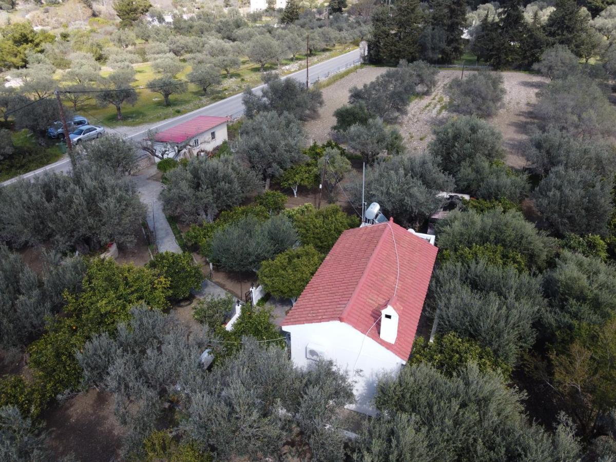 Villa Kavalino Kolymbia Exteriör bild