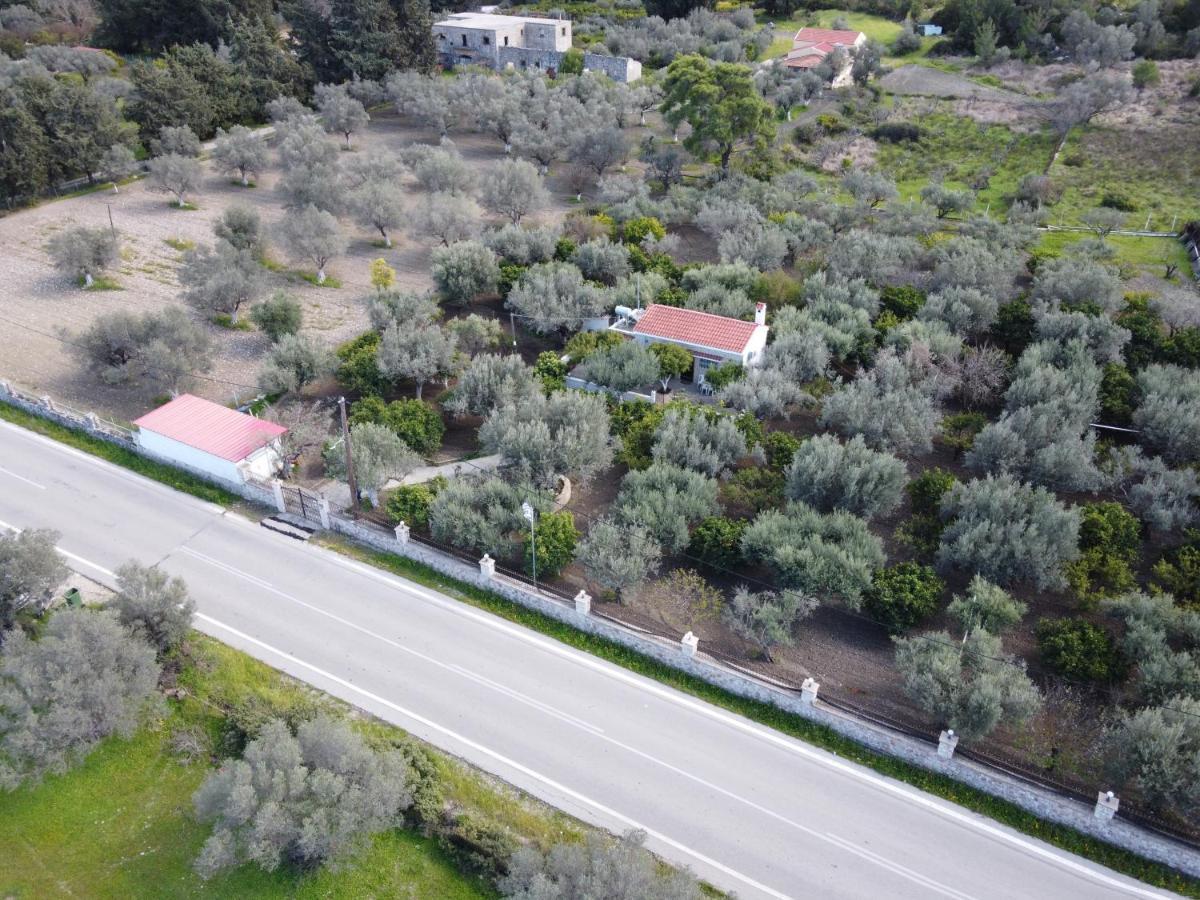 Villa Kavalino Kolymbia Exteriör bild