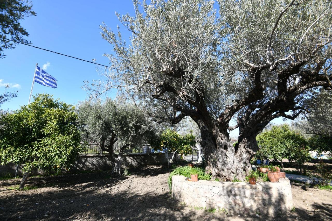 Villa Kavalino Kolymbia Exteriör bild